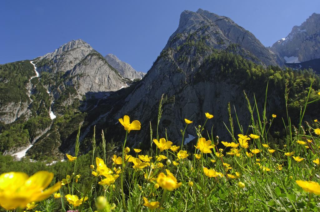 Landgasthof Mauth Kirchdorf in Tirol Luaran gambar